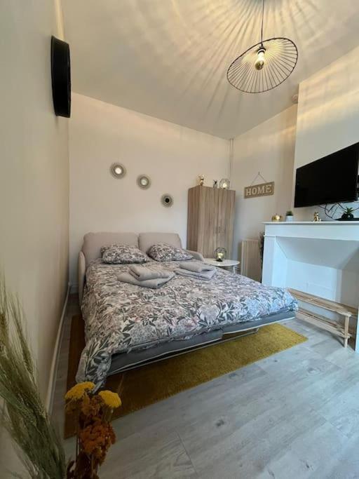 Le Nid Douillet 18m2 2 Personnes Douai