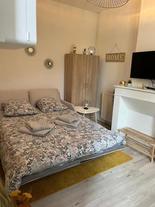 Appartement Le Nid Douillet 18m2 2 Personnes *